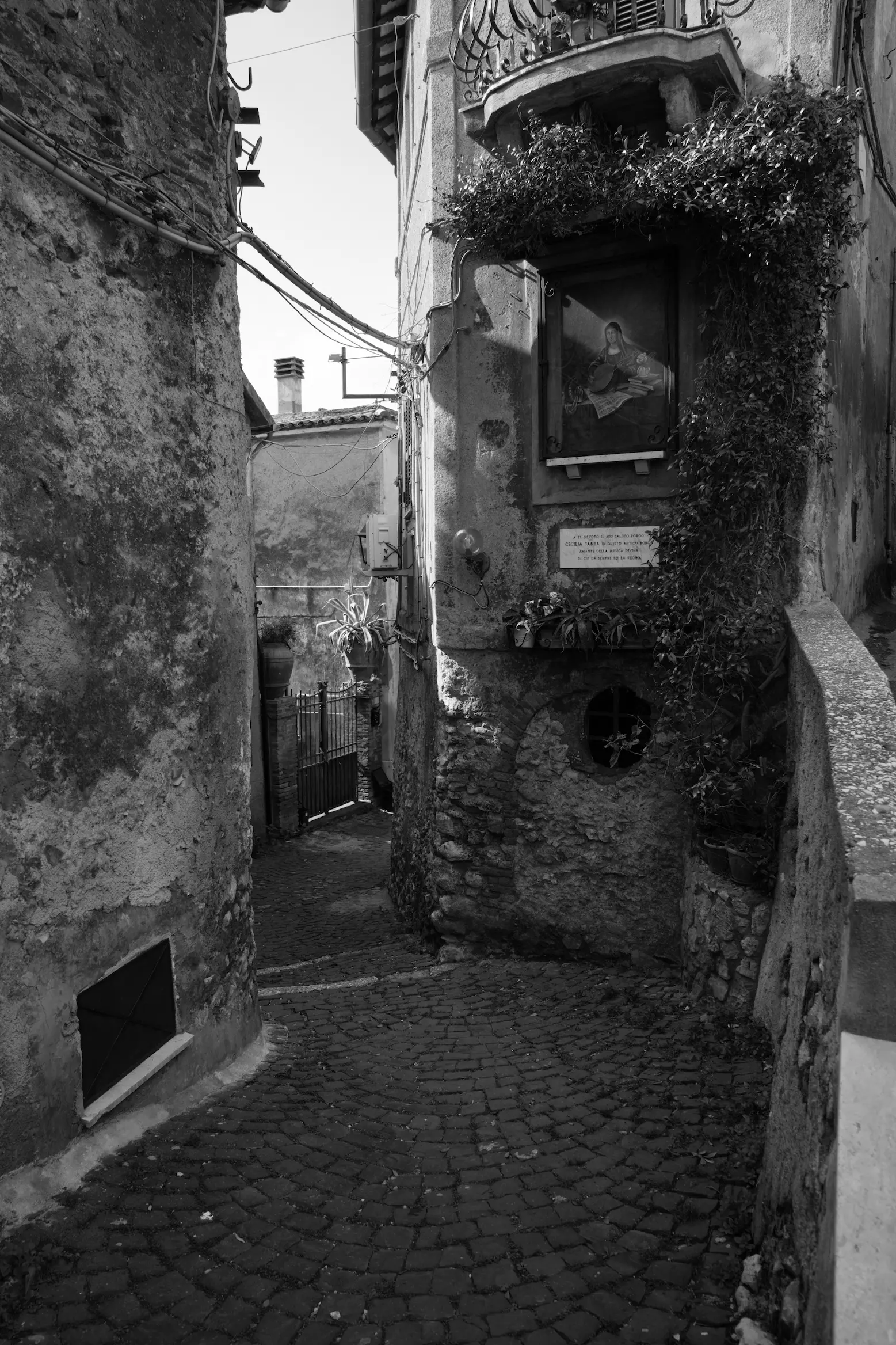Dettaglio